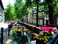 An der Abzucht in Goslar1